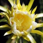 如何选择适合自己的CG电游类型与风格 6k7hvq