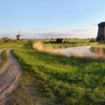 巅峰国际官网:探索不同体育项目的投注策略 7dibybvlb